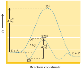 Chapter 14, Problem 8P, Answers to all problems are at the end Î¿Î“this book. Detailed solutions are available in the 