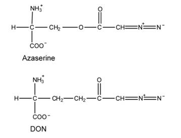 Biochemistry, Chapter 26, Problem 4P , additional homework tip  1