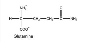 Biochemistry, Chapter 26, Problem 4P , additional homework tip  2