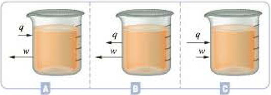 Chapter 6, Problem 6.31QP, Chemical reactions are run in each of the beakers depicted below (labeled A, B, and C). The 