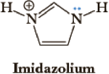 Chapter 1.9, Problem DQ, The following structure is called imidazolium. Which of the following statements about imidazolium 