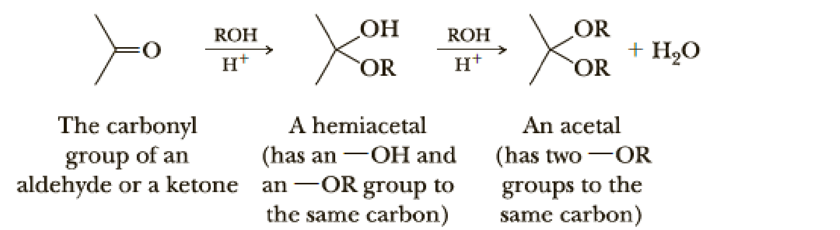 Chapter 11, Problem 11.41P, Aldehydes and ketones react with one molecule of an alcohol to form compounds called hemiacetals, in , example  1