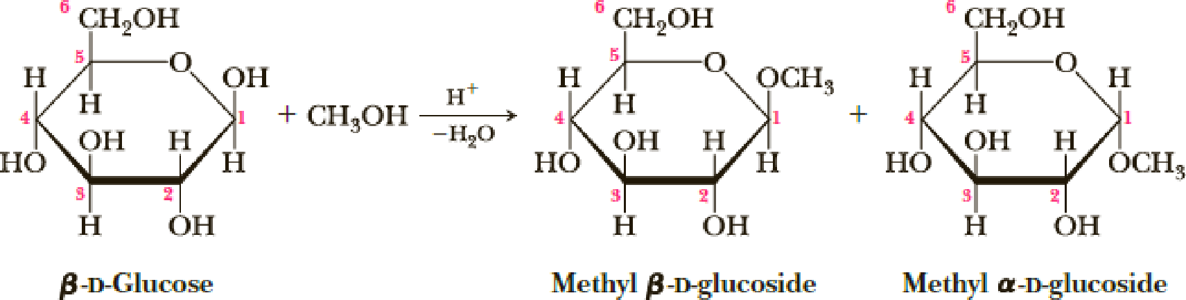 Chapter 16, Problem 16.67P, Treatment of -D-glucose with methanol in the presence of an acid catalyst converts it into a mixture 