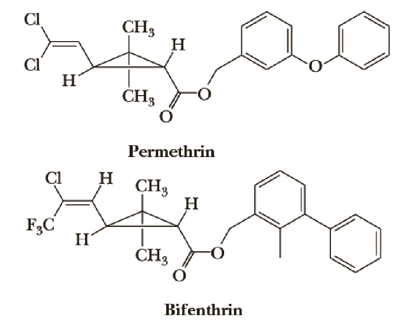Chapter 17.8, Problem DQ, Permethrin and Bifenthrin Pyrethrin is a natural insecticide obtained from the powdered flower heads 