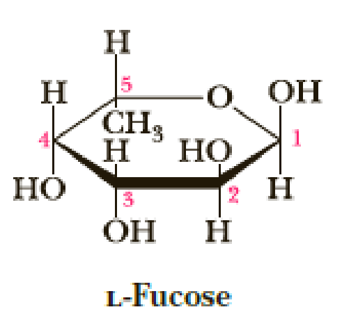 Chapter 2, Problem 2.62P, Following is a planar hexagon representation of L-fucose, a sugar component of the determinants of 