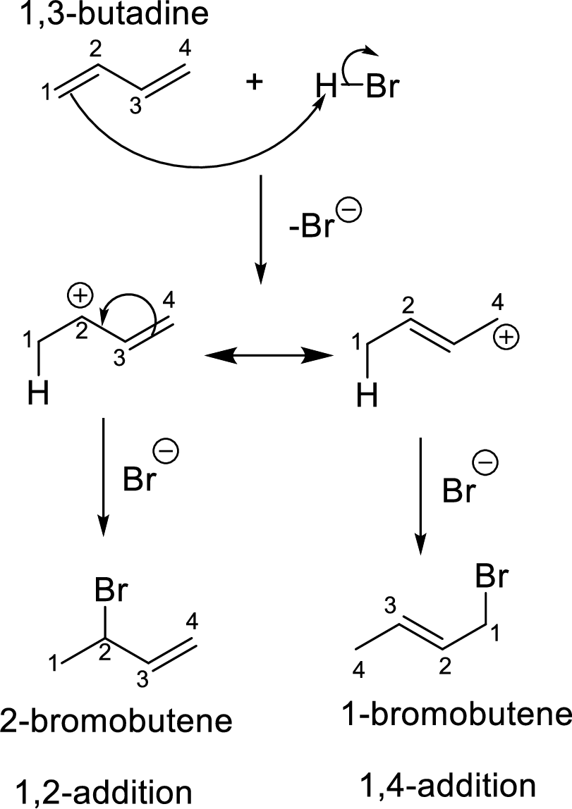 The products formed by the addition of one mole of Br 2 to 2,4 ...