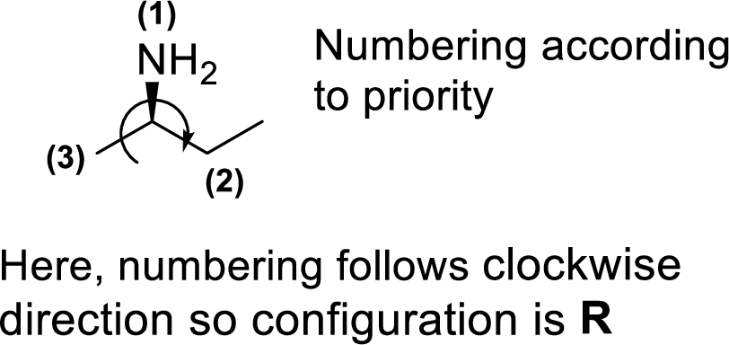 Organic Chemistry, Chapter 23, Problem 23.16P , additional homework tip  19