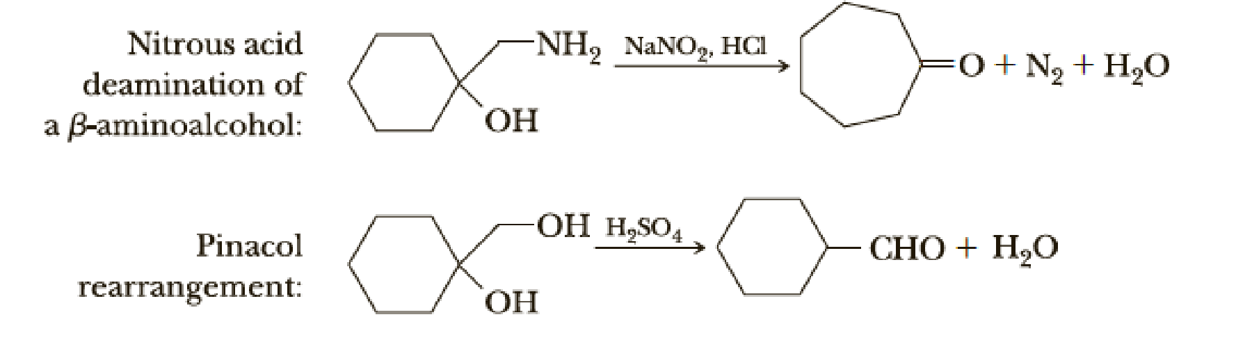 Marked similarities exist between the mechanism of nitrous acid