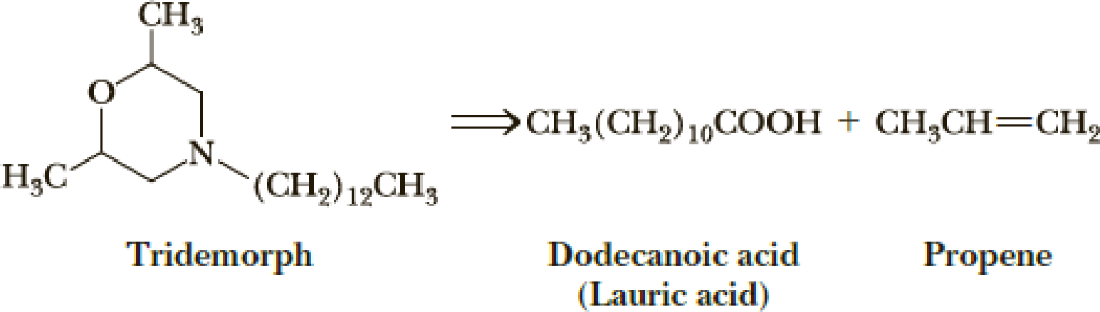 Chapter 23, Problem 23.53P, Propose a synthesis for the systemic agricultural fungicide tridemorph from dodecanoic acid (lauric 