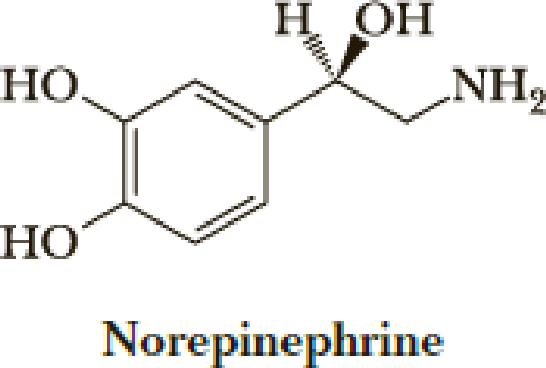 Chapter 27, Problem 27.21P, Both norepinephrine and epinephrine are synthesized from the same protein-derived amino acid. From , example  1
