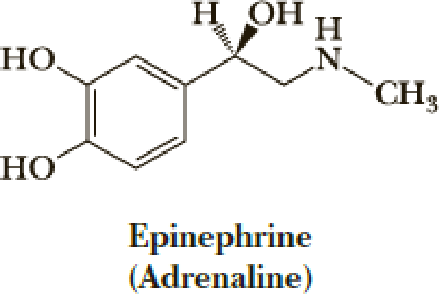 Chapter 27, Problem 27.21P, Both norepinephrine and epinephrine are synthesized from the same protein-derived amino acid. From , example  2