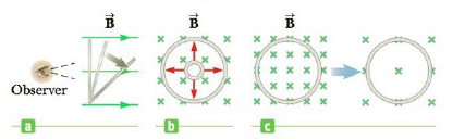Chapter 20, Problem 3CQ, Figure CQ20.3 shows three views of a circular loop in a magnetic field. In each view, the 