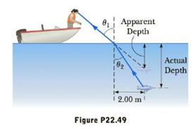 Chapter 22, Problem 49AP, Refraction causes objects submerged in water to appear less deep than they actually are. The fish in 