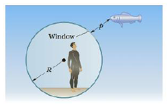 Chapter 23, Problem 26P, A man inside a spherical diving bell watches a fish through a window in the bell, as in Figure 