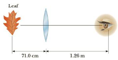 Chapter 25, Problem 25P, A leaf of length h is positioned 71.0 cm in front of a converging lens with a focal length of 39.0 