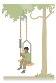Chapter 4, Problem 81AP, An inventive child wants to reach an apple in a tree without climbing the tree. Sitting in a chair 