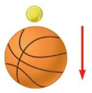 Chapter 6, Problem 45P, A tennis ball of mass 57.0 g is held just above a basketball of mass 590 g. With their centers 