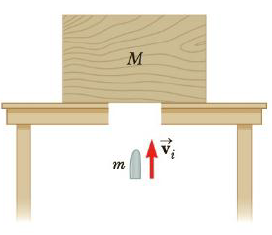 Chapter 6, Problem 78AP, A wooden block of mass M rests on a table over a large hole as in Figure P6.84. A bullet of mass m 