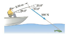 Chapter 8, Problem 1P, The fishing pole in Figure P8.3 makes an angle of 20.0 with the horizontal. What is the magnitude of 