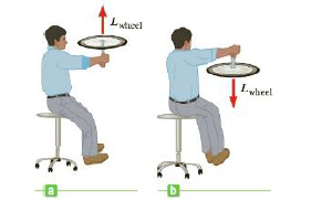 Chapter 8, Problem 67P, A student holds a spinning bicycle wheel while sitting motionless on a stool that is free to rotate 