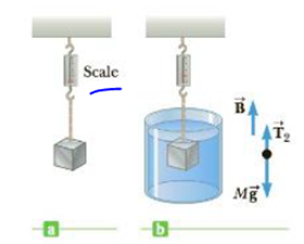 The gravitational force exerted on a solid object is 5.00 N as measured ...