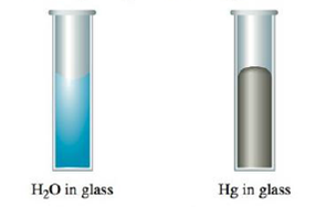 Chapter 10, Problem 43E, The shape of the meniscus of water in a glass tube is different from that of mercury in a glass 
