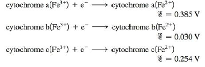 Chapter 18, Problem 126AE, The ultimate electron acceptor in the respiration process is molecular oxygen. Electron transfer 