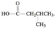 Chapter 22, Problem 47E, Identify each of the following compounds as a carboxylic acid, ester, ketone, aldehyde, or amine. a. , example  3