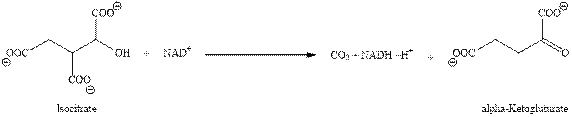 Chemistry For Today: General, Organic, And Biochemistry, Loose-leaf Version, Chapter 23, Problem 23.28E , additional homework tip  1