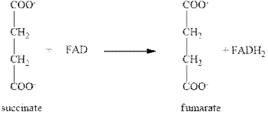 LMS Integrated OWLv2, 4 terms (24 months) Printed Access Card for Seager/Slabaugh/Hansen’s Chemistry for Today: General, Organic, and Biochemistry, 9th, Chapter 23, Problem 23.28E , additional homework tip  4