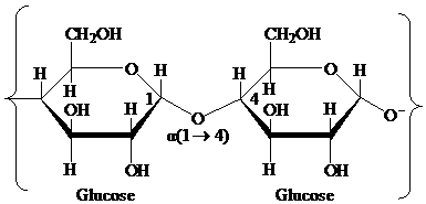 Biochemistry, Chapter 16, Problem 1RE , additional homework tip  1