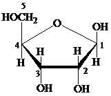 Biochemistry - With Access, Chapter 16, Problem 1RE , additional homework tip  3