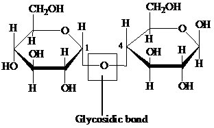 EBK BIOCHEMISTRY, Chapter 16, Problem 1RE , additional homework tip  6