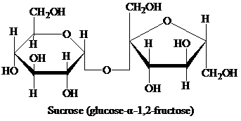 BIOCHEMISTRY (LOOSELEAF) >CUSTOM PKG<, Chapter 16, Problem 1RE , additional homework tip  7