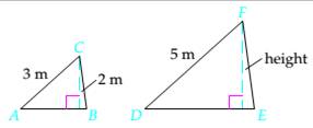 Chapter 7.4, Problem 7ES, Triangles ABC and DEF are similar triangles. Use this fact to solve each exercise. Round to the 
