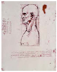Art Leonardo da Vinci measured various distances on the human body in ...