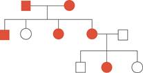 Chapter 14, Problem 1GP, Does the phenotype indicated by the red circles and squares in this pedigree show an inheritance 