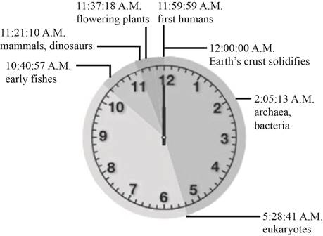 Chapter 16, Problem 2CT, If you think of geologic time spans as minutes, lifes history might be plotted on a clock such as 