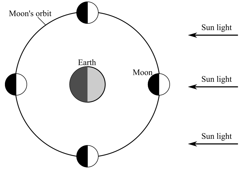 Universe, Chapter 3, Problem 6CC 