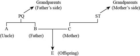 Genetics: A Conceptual Approach 6E w/ SaplingPlus (Six-Month Access), Chapter 2.3, Problem 42CQ , additional homework tip  1