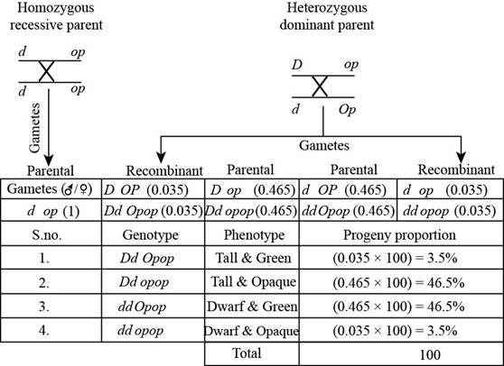 Genetics: A Conceptual Approach, Chapter 7.2, Problem 22AQP , additional homework tip  2