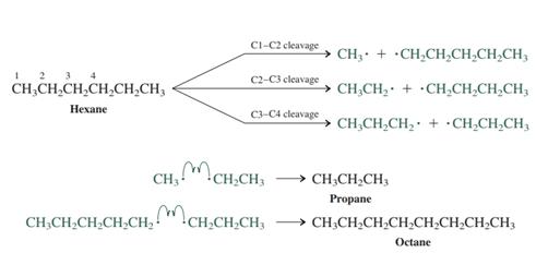 Organic Chemistry: Structure and Function, Chapter 3.1, Problem 3.3E 