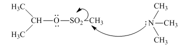 Organic Chemistry: Structure and Function, Chapter 6, Problem 42P , additional homework tip  7