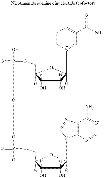 ORGANIC CHEMISTRY (LL)-PACKAGE, Chapter 8, Problem 58P , additional homework tip  2