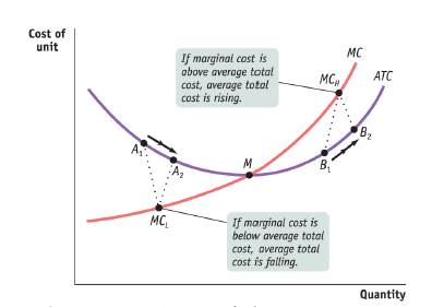 Krugman's Economics For The Ap® Course, Chapter 10R, Problem 12MCQ 