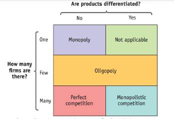 Krugman's Economics For The Ap® Course, Chapter 10R, Problem 22MCQ 