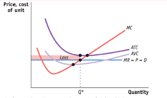 Krugman's Economics For The Ap® Course, Chapter 11R, Problem 5MCQ 