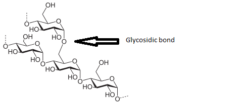 BIOCHEMISTRY (LOOSELEAF)-W/ACCESS      , Chapter 20, Problem 23P , additional homework tip  2