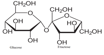 EBK BIOCHEMISTRY, Chapter 20, Problem 19P , additional homework tip  3