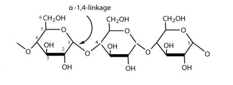 Biochemistry, Chapter 20, Problem 23P , additional homework tip  4